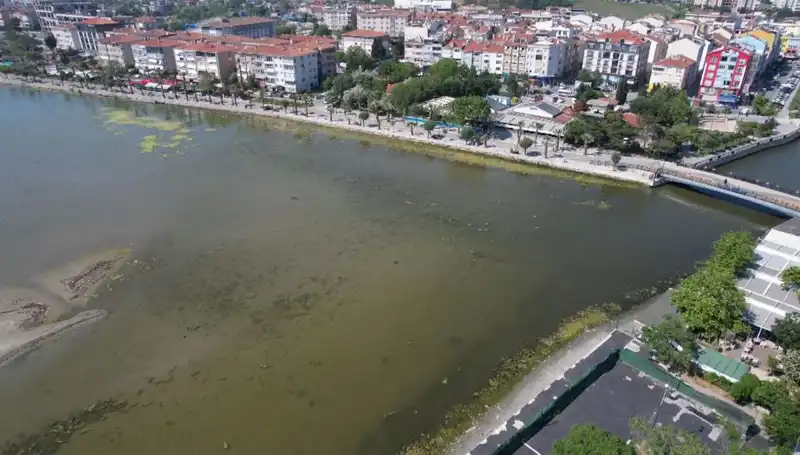 Marmara Denizi'nde Tehlikeli Gelişmeler: Acil Önlemler Alınmalı
