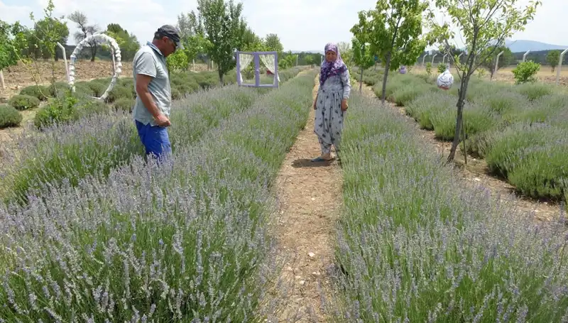 Hobi Olarak Başladılar, Şimdi Geçim Kaynağı Oldular