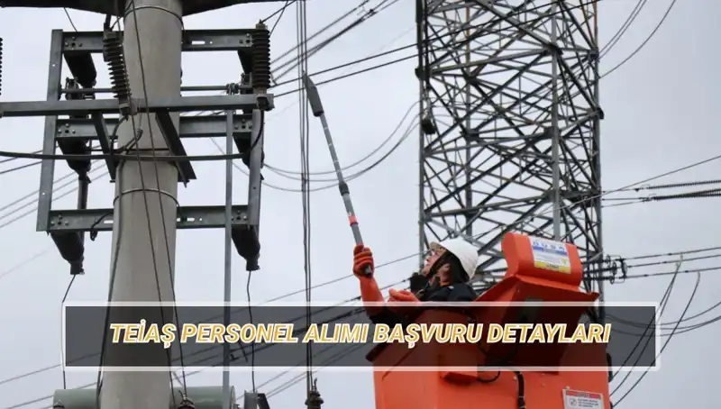 TEİAŞ Personel Alımı: Başvuru Tarihleri ve Şartlarına Dikkat!