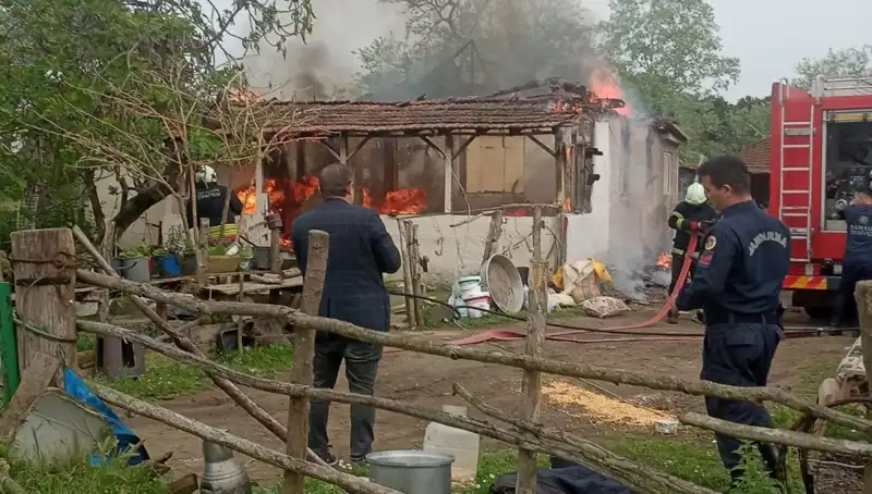 Elektrik Kontağından Çıkan Yangın, Evleri Tehlikeye Attı: Olayın Detayları