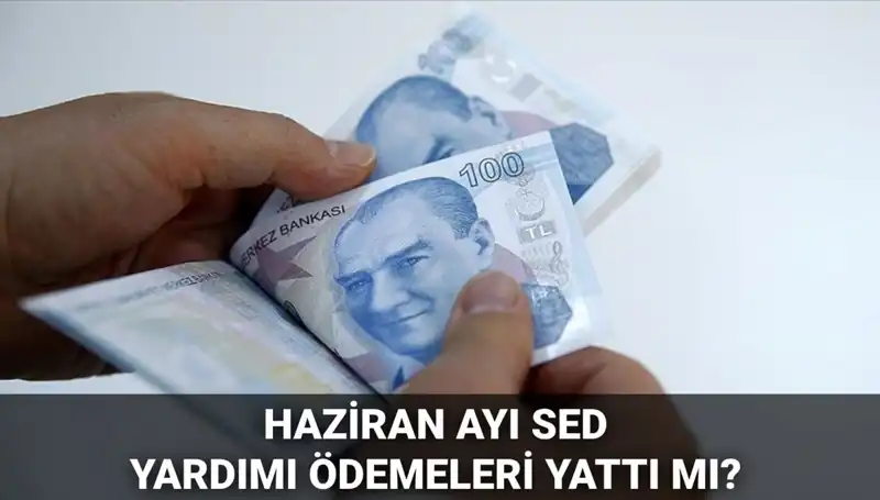 Haziran 2025 SED Ödemeleri Sorgulama: Ne Zaman Yatacak?