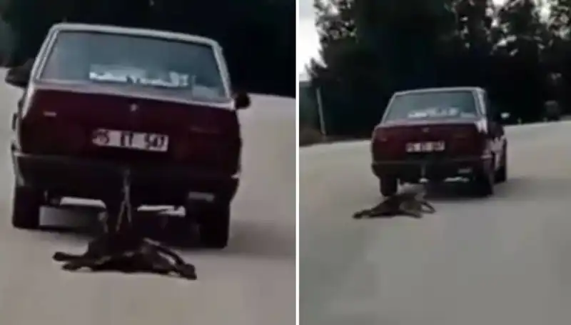 Otomobilin Arkasına Bağlı Köpeği Sürükleyen Şok Edici Olay Neydi?