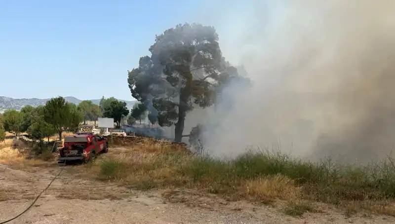 Muğla'da Korkutan Orman Yangını: Ekipler Seferber Oldu!