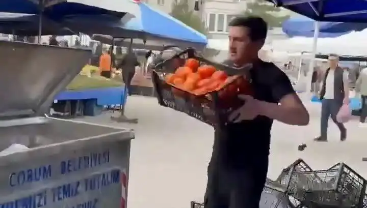 Domatesleri Çöpe Döken Pazarcıya Kesilen Rekor Ceza Şok Etti