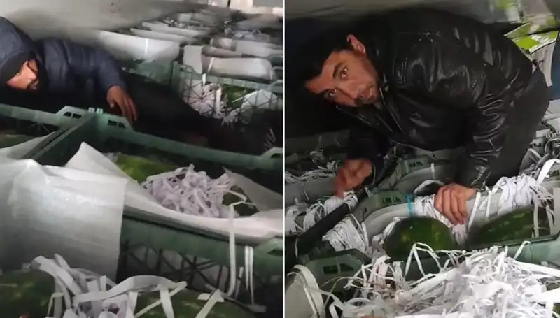 Karpuzların Arasında Yakalanan Göçmenler: Sınır Güvenliği Alarmverici Bir Olay