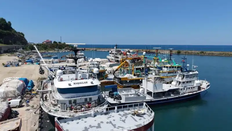 Karadeniz’de 1 Eylül’e Neden Bu Kadar Geri Sayıyor? Cevabı Merak Ediliyor!