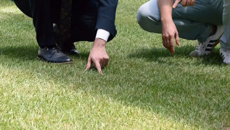 Stadyum Zemininde Tartışmalar Büyüyor: Yenileme Çalışmaları Hızla İlerliyor