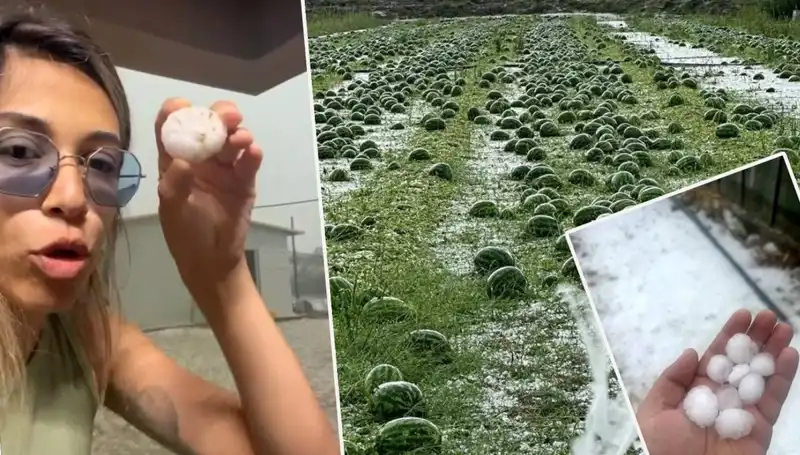 Antalya'da Dolu ve Hortum Felaketi: Hayatları Altüst Eden Anlar